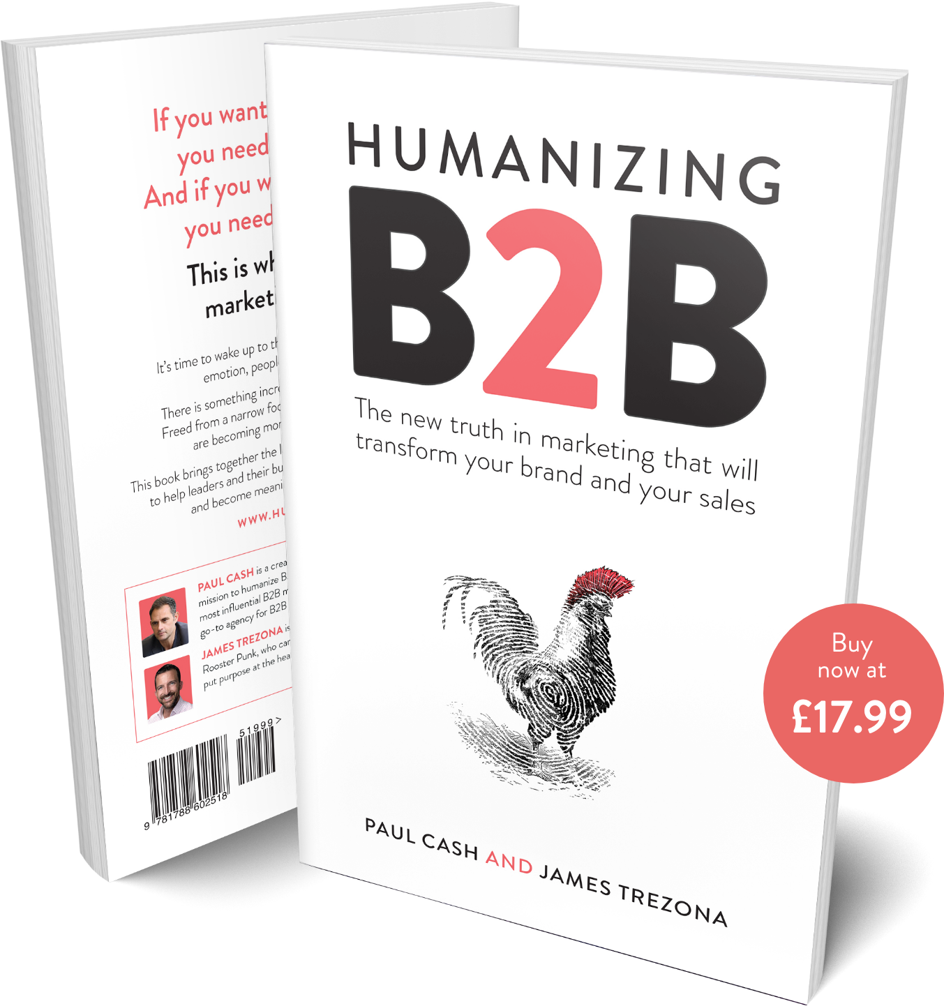 HumanizingB2B website preview
